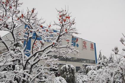 山東8x8x福利在钱视频機床：雪景一角.jpg